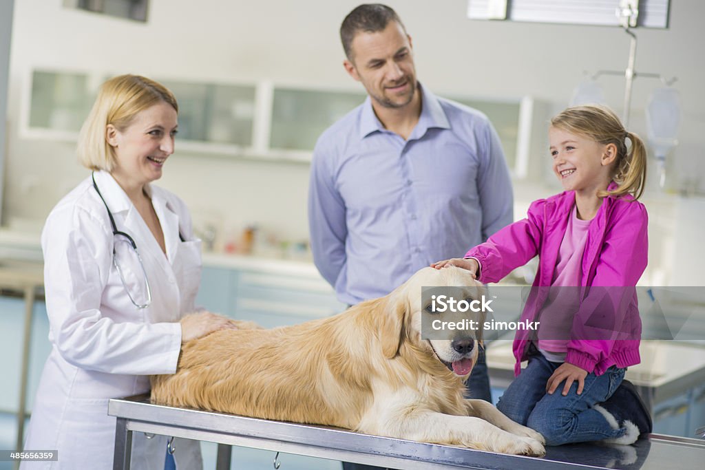 Veterinário examinar um cão de família - Royalty-free Acariciar Foto de stock