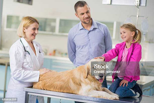 Veterinário Examinar Um Cão De Família - Fotografias de stock e mais imagens de Acariciar - Acariciar, Adulto, Animal