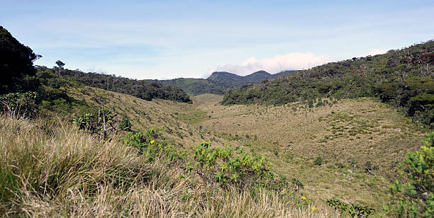 istock Horton Plains landscape, Sri Lanka 485657725