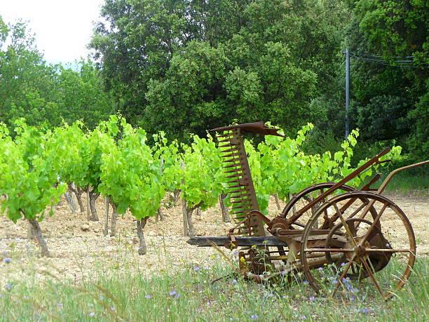 istock Old Farm Machinery on French Vineyard 485657764
