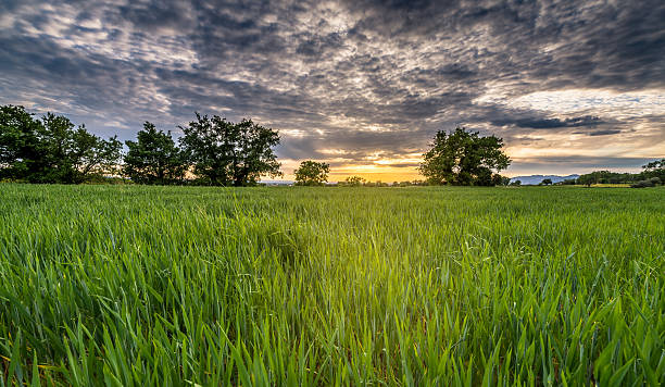 istock Romantic France View 485662030