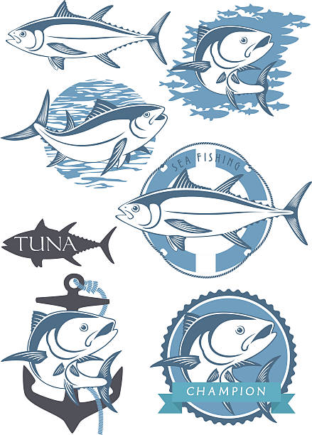 illustrations, cliparts, dessins animés et icônes de ensemble de dessins de thon - tuna spearfishing sea bream illustrated