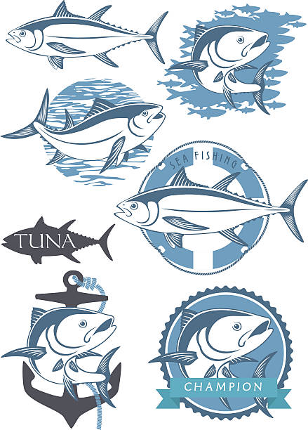 illustrazioni stock, clip art, cartoni animati e icone di tendenza di set di disegni di tonno - tuna spearfishing sea bream illustrated