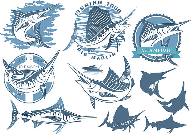 ilustrações de stock, clip art, desenhos animados e ícones de marlim de pesca - marlin sailfish nature saltwater fish