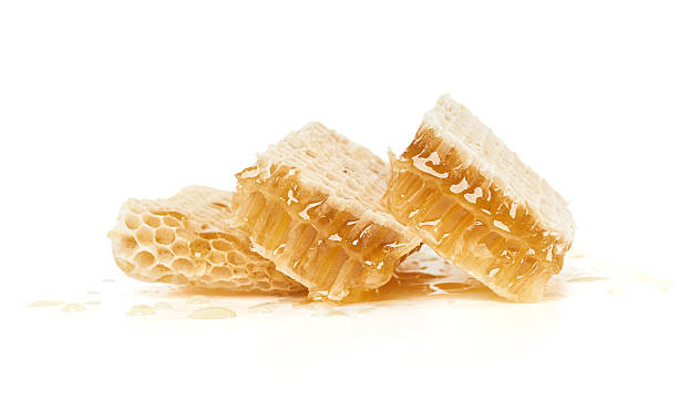 istock Three pieces of honeycomb 485663126
