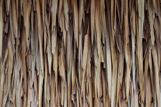 istock wall of house from Nypafruticans 485664576