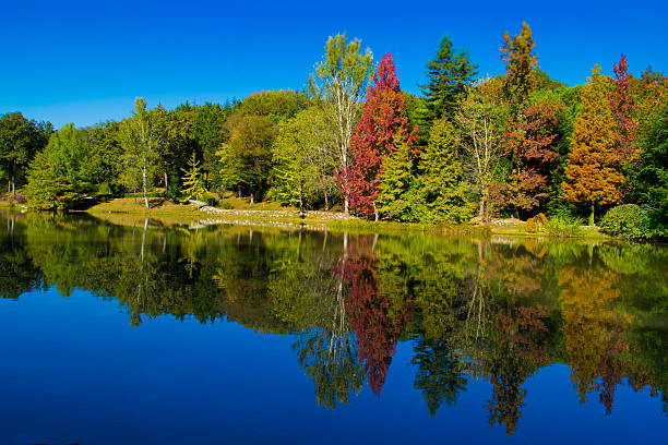 istock Ataturk Arboretumu Reflection 485670911