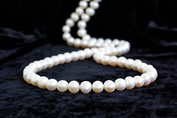 자연스럽다 진주조개 블랙 벨벳 목걸이 - black pearl pearl horizontal necklace 뉴스 사진 이미지