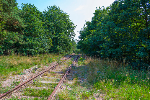 Derelict railway through a forest in summer