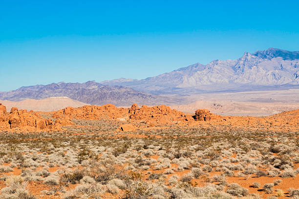 Valley of Fire landscape, Nevada