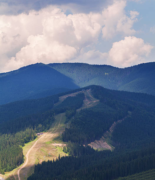 istock summer landscape in Carpathians 485676242