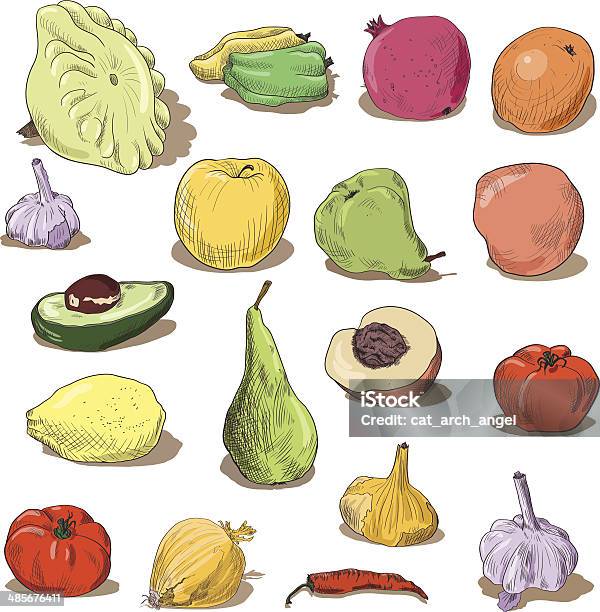 Set Of Drawing Fruits And Vegetables Stock Illustration - Download Image Now - Agriculture, Apple - Fruit, Autumn