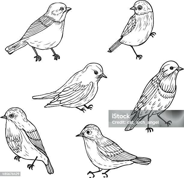 Set Of Linear Drawing Birds Stock Illustration - Download Image Now - Bird, Animal, Animal Body Part