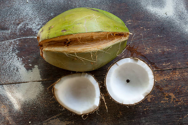 Fresh harvested tropical coconut
