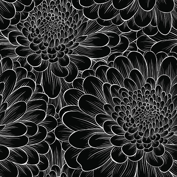 ilustraciones, imágenes clip art, dibujos animados e iconos de stock de fondo con flores en blanco y negro monocromo crisantemo. - chrysanthemum single flower flower textile