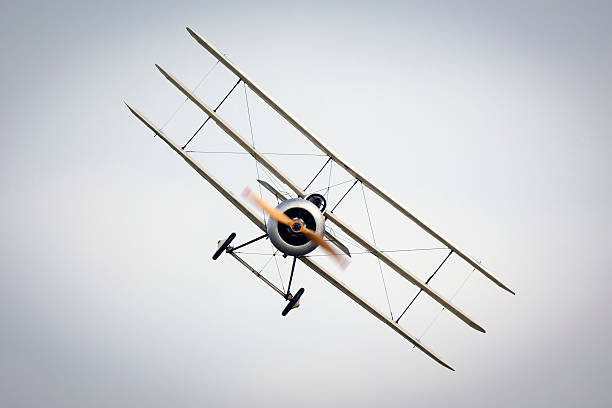 istock WWI Fokker Aircraft 485681696