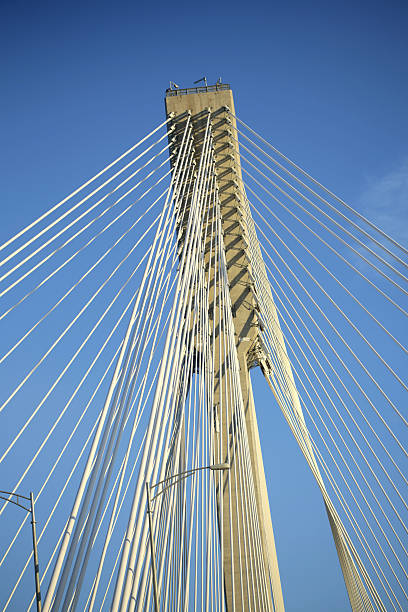 istock Cable-Stayed Bridge above Fraser River, British Columbia, Canada 485682158