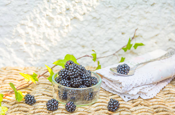 Blackberry and green leaves with natural background. stock photo