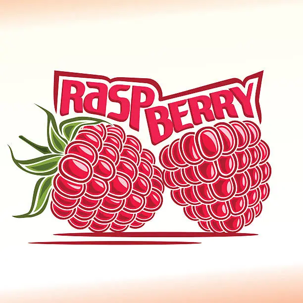 Vector illustration of Vector illustration on the theme of raspberry