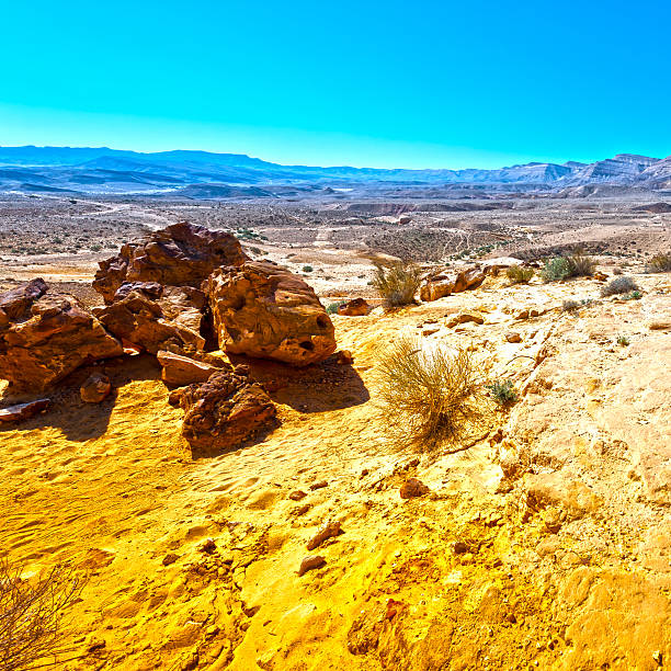istock Desert in Israel 485691010