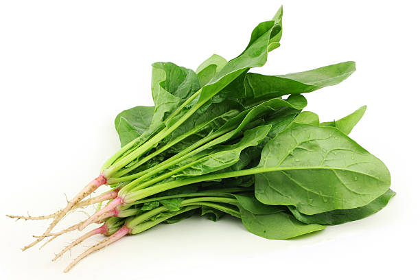 ホウレンソウの - spinach ストックフォトと画像