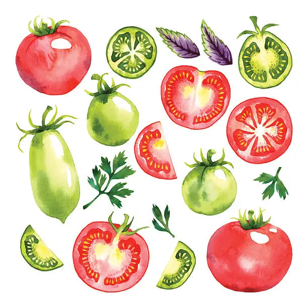Vector illustration of Vegetables set