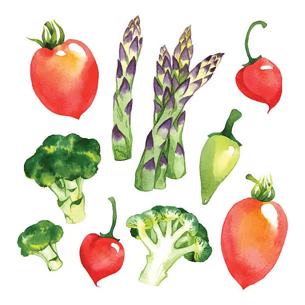 Vector illustration of Vegetables set