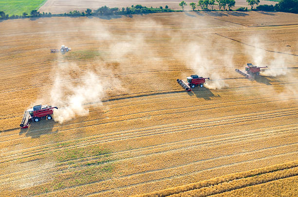 istock Combines and tractors working on the wheat field 485693166
