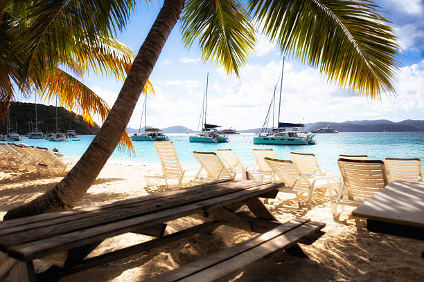 Serene Beach with Yachts, Picnic Table and Palm Trees