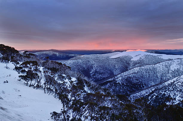 mount hotham varient sunrise, en australie - mt hotham photos et images de collection