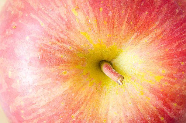 istock Close up image of red apple 485695980