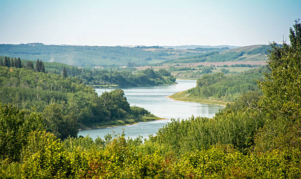 el río saskatchewan del norte, desde fort george sitio. - north saskatchewan river fotografías e imágenes de stock
