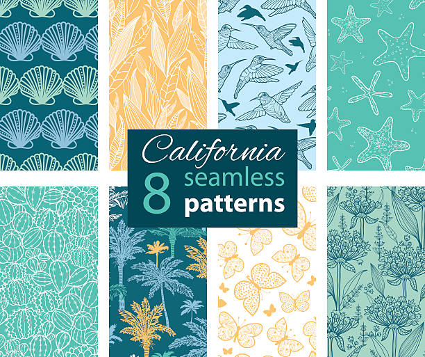 Vettoriale California natura otto Set di Pattern senza bordi. Colibrì, capesante seeshell - illustrazione arte vettoriale