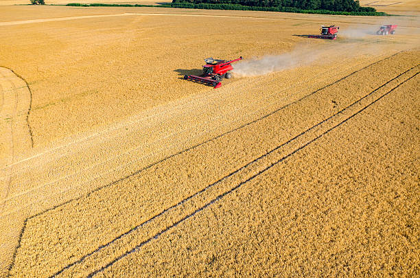 istock Combines and tractors working on the wheat field 485697570