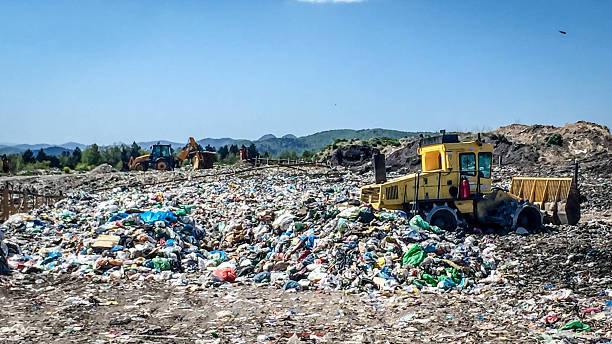 zagęszczarka na wysypisko śmieci - landfill garbage dump garbage bird zdjęcia i obrazy z banku zdjęć