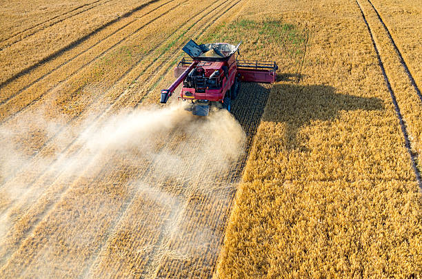 istock Combines and tractors working on the wheat field 485703422