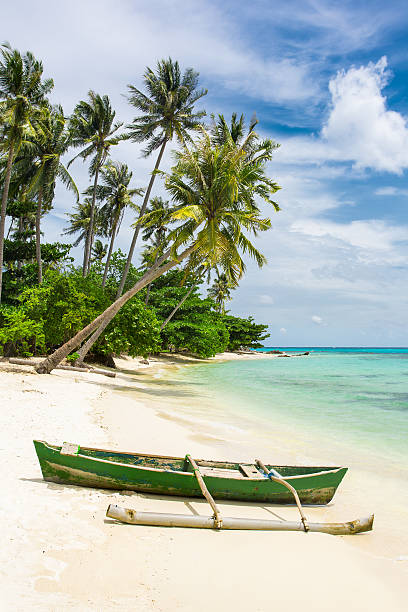 istock Boat on the beautiful tropical beach 485703982