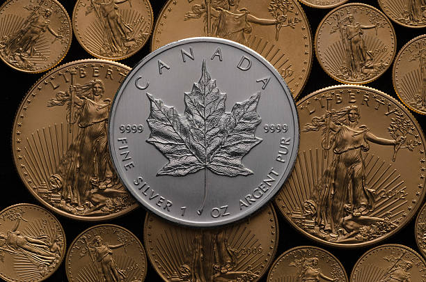 istock Canadian Silver Maple Coin over bed of Gold Eagle Coins 485704132