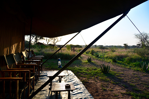 Luxury safari tent in the Serengeti during sunset, clear sky