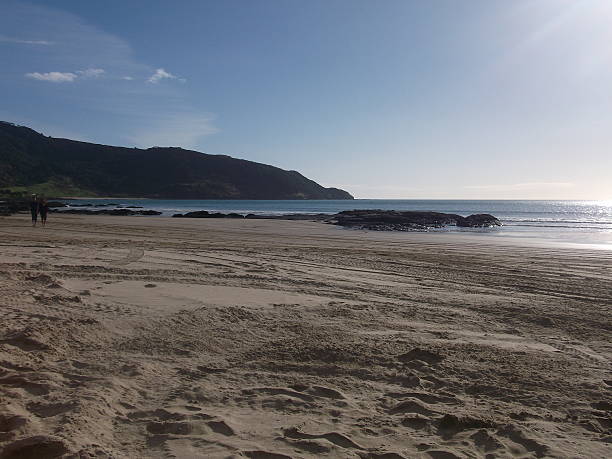 istock Beach, Kaitaia, New Zealand 485707988