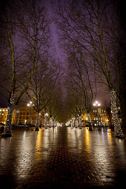 Christmas in Seattle stock photo