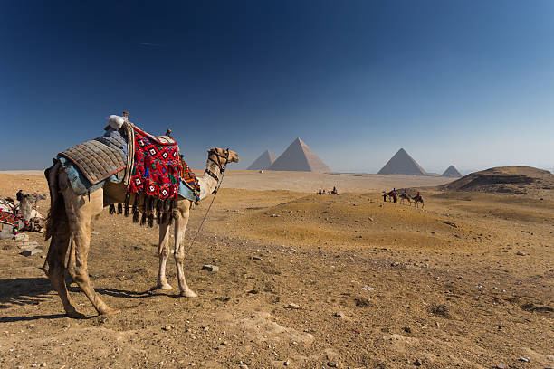 Ägypten.   Kairo – Gizeh.   General Blick auf die Pyramiden – Foto