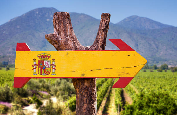 istock Spain Flag wooden sign with vineyard background 485712138