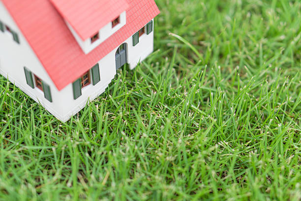 istock House on the lawn 485712612