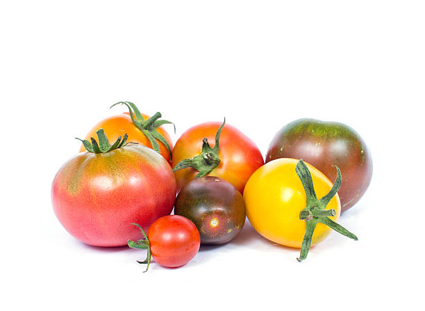 istock Variety of different colour tomatoes 485712640