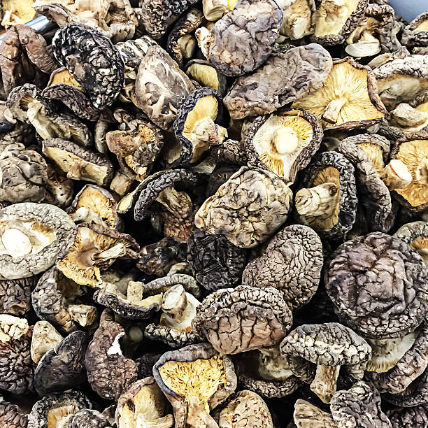 말린 표고버섯 배경 - shiitake mushroom mushroom dried food dried plant 뉴스 사진 이미지