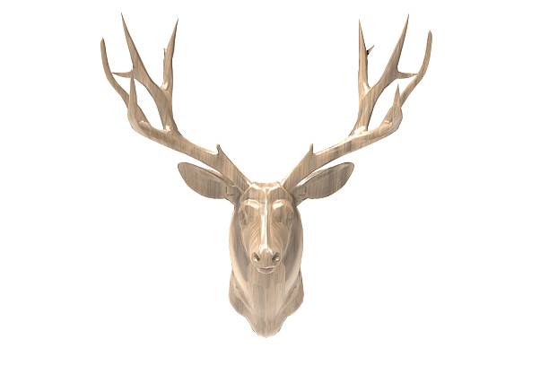 istock Photography Deer Head and Isolated bcakground 485713150