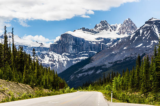 istock Road to the Icefield Parkway 485714504