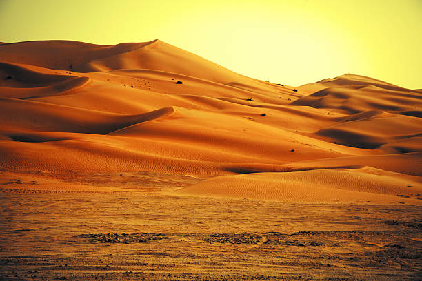 herrlichen sanddünen in oase liwa, vereinigte arabische emirate - liwa desert stock-fotos und bilder