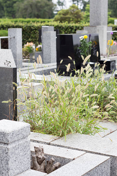 istock Weeds covered over Japanese neglected grave yard 485715464